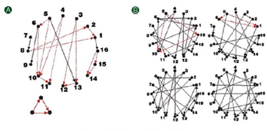 זיהוי עקרונות בנייה של רשת. עקרון בנייה מופיע ברשת (A) בתדירות גבוהה יותר בהשוואה לתדירות הופעתו במערכות אקראיות שונות (B)